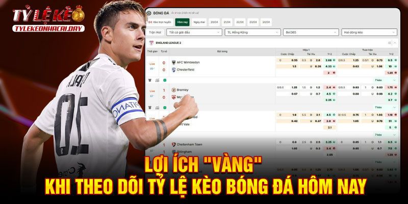 Thắng Lớn với Tỷ Lệ Kèo Nhà Cái Bí Kíp Chuyên Gia